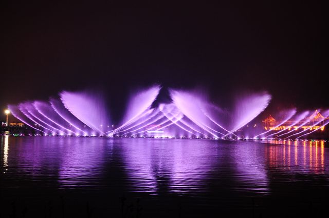 Seagull fountain